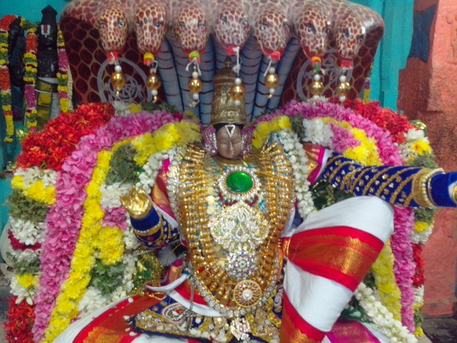serankulam Sri Venkatachalapathi Temple Brahmotsavam 2014  01