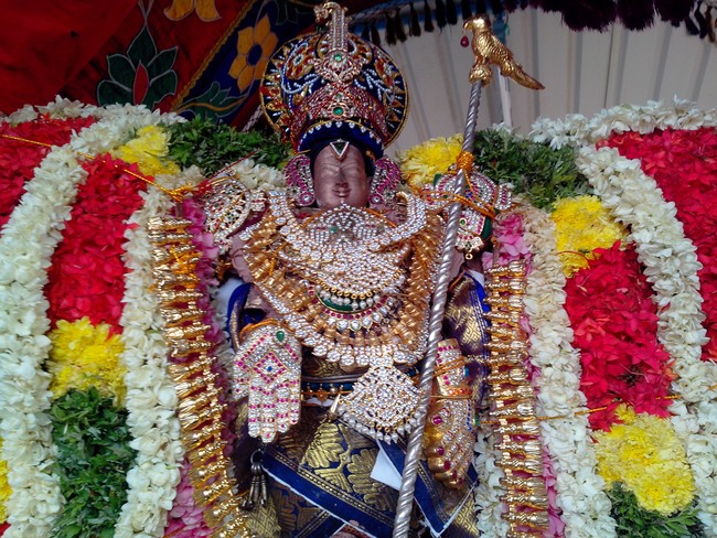 serankulam Sri Venkatachalapathi Temple Brahmotsavam 2014  03