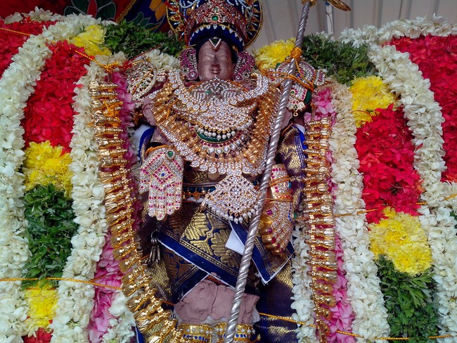 serankulam Sri Venkatachalapathi Temple Brahmotsavam 2014  04