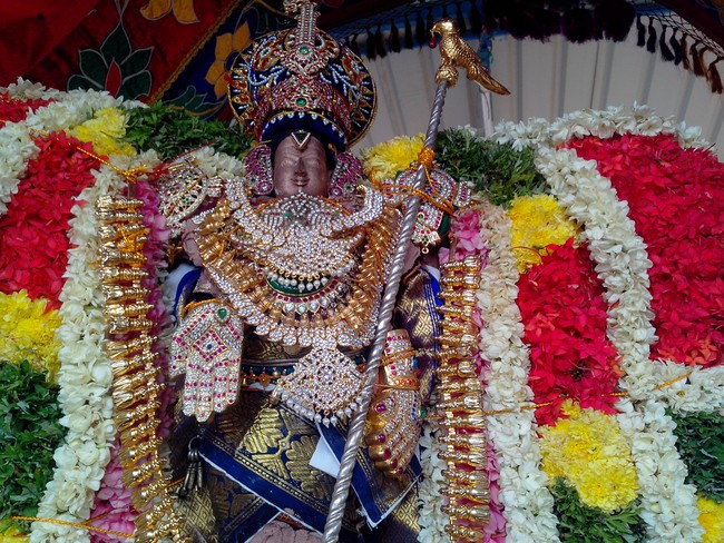serankulam Sri Venkatachalapathi Temple Brahmotsavam 2014  05