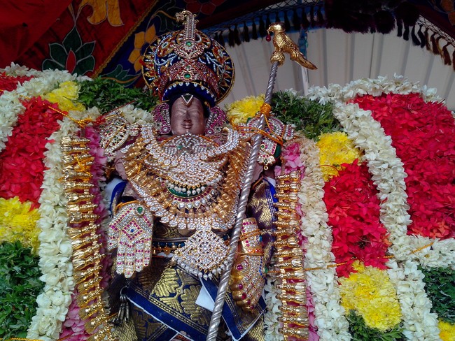serankulam Sri Venkatachalapathi Temple Brahmotsavam 2014  06