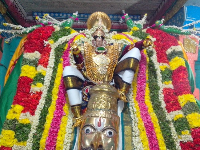 serankulam Sri Venkatachalapathi Temple Brahmotsavam 2014  07