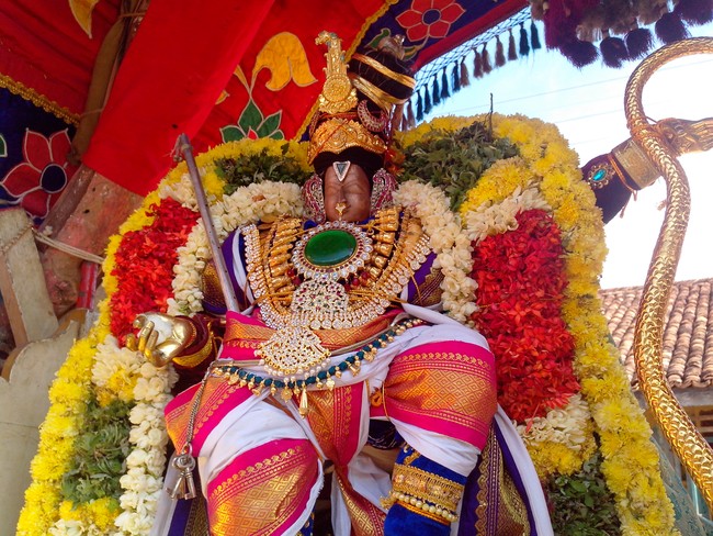 serankulam Sri Venkatachalapathi Temple Brahmotsavam 2014  09