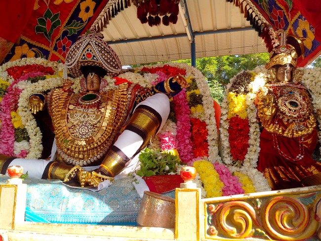 serankulam Sri Venkatachalapathi Temple Brahmotsavam 2014  12