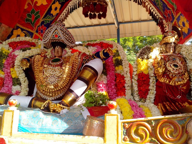 serankulam Sri Venkatachalapathi Temple Brahmotsavam 2014  13