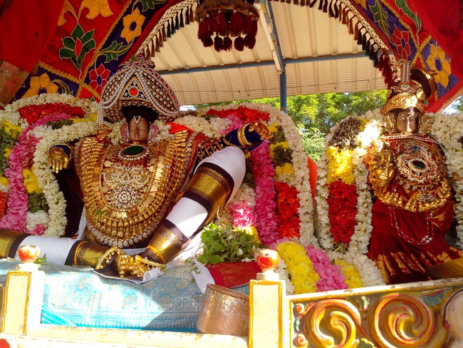 serankulam Sri Venkatachalapathi Temple Brahmotsavam 2014  14