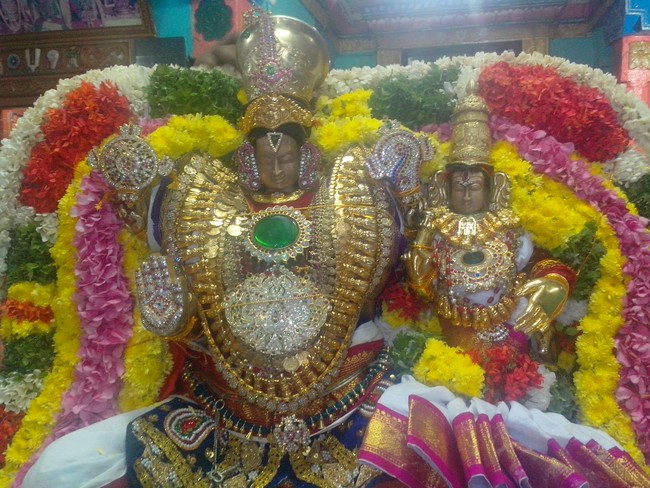 serankulam Sri Venkatachalapathi Temple Brahmotsavam 2014  16