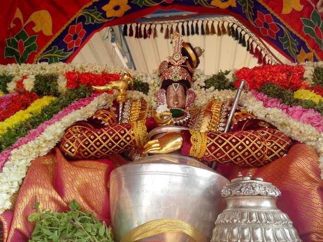 serankulam Sri Venkatachalapathi Temple Brahmotsavam 2014  18
