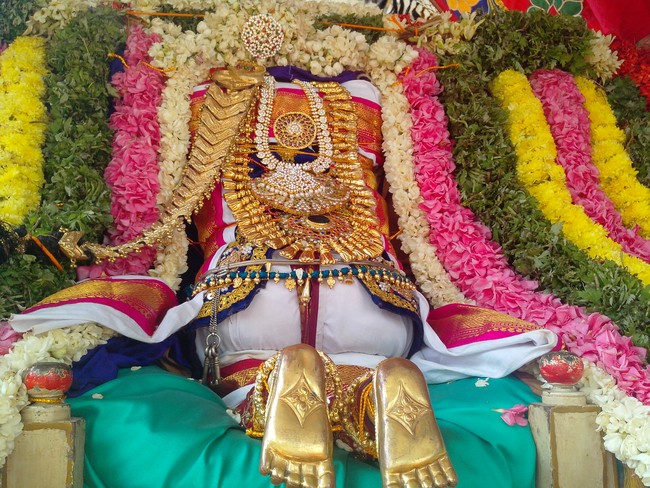 serankulam Sri Venkatachalapathi Temple Brahmotsavam 2014  19