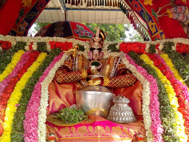 serankulam Sri Venkatachalapathi Temple Brahmotsavam 2014  21