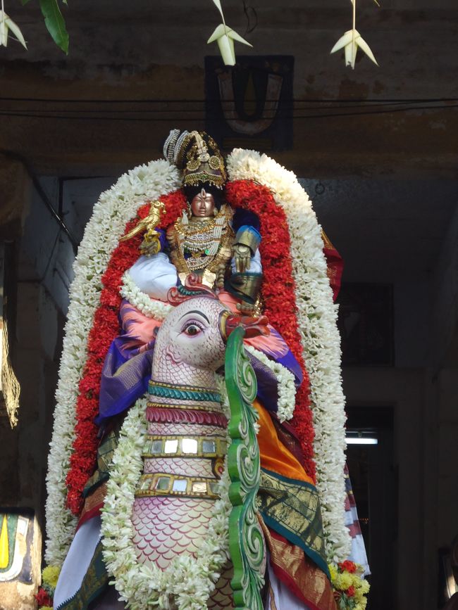 sri poundrigapuram ashram swami sri desikan hamsa vahanam 28th oct 14 4 to 5pm (1)