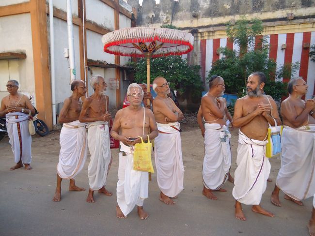 sri poundrigapuram ashram swami sri desikan hamsa vahanam 28th oct 14 4 to 5pm (15)