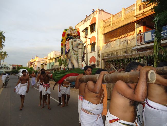 1st nov 14 srirangam poundrikapuram swami desikan yaanai vaahanam (12)