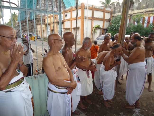 1st nov 14 srirangam poundrikapuram swami desikan yaanai vaahanam (16)
