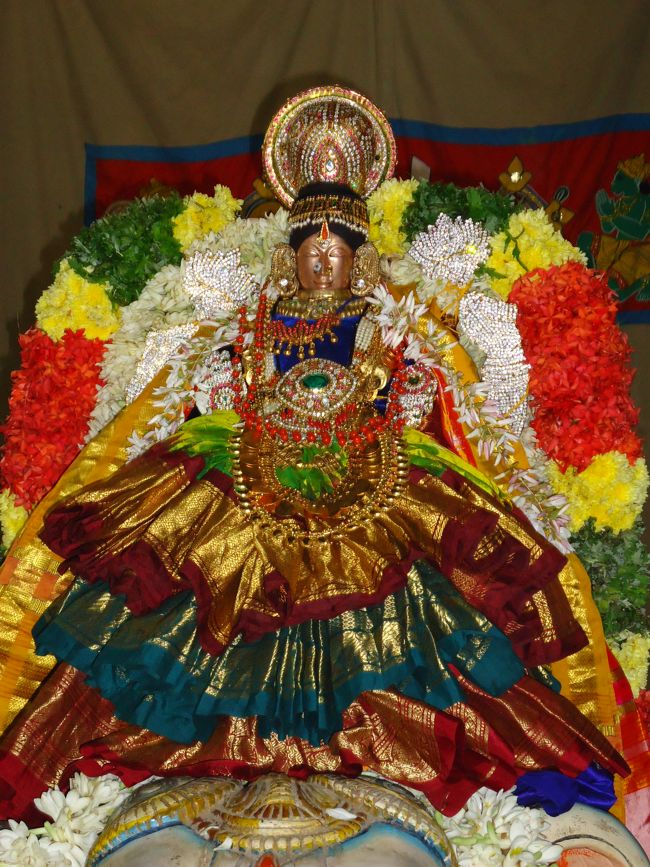 1st nov 14 srirangam poundrikapuram swami desikan yaanai vaahanam (48)