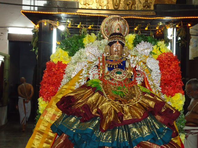 1st nov 14 srirangam poundrikapuram swami desikan yaanai vaahanam (49)