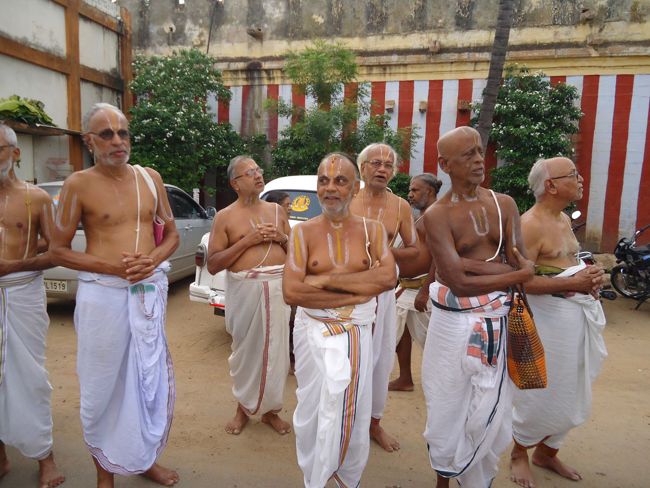1st nov 14 srirangam poundrikapuram swami desikan yaanai vaahanam (56)