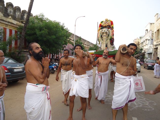1st nov 14 srirangam poundrikapuram swami desikan yaanai vaahanam (58)
