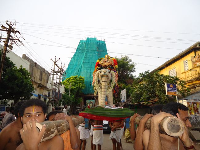 1st nov 14 srirangam poundrikapuram swami desikan yaanai vaahanam (9)