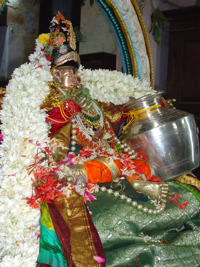31st oct 14 4 to 5pm chandraprabai srirangam srimath poundrikapuram swami desikan (3)