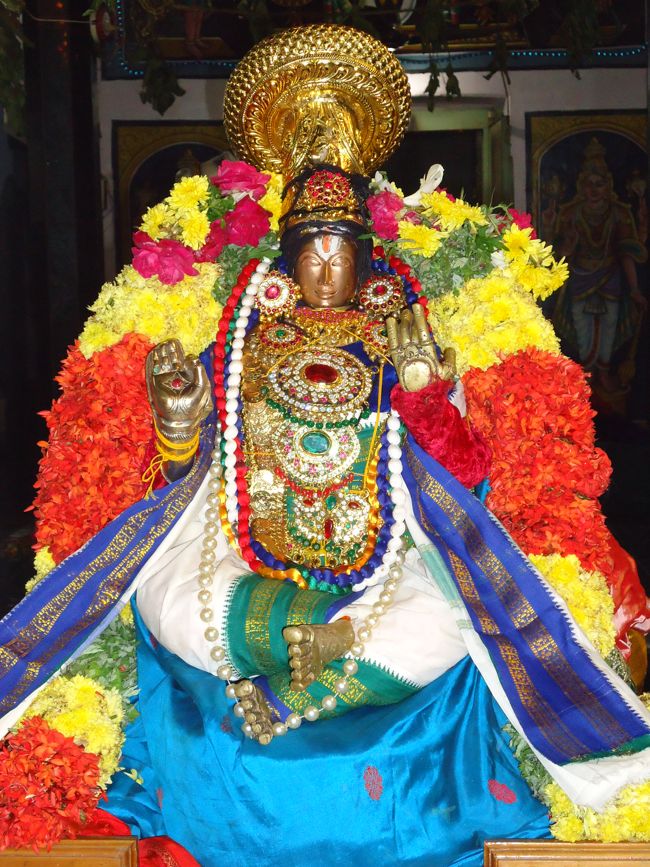 3rd nov 14 sri poundrikapuram aandavan ashram swami desikan thiruther (80)