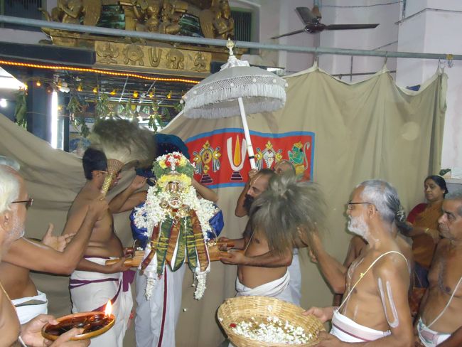 4th nov 14 pushpa pallaku swami desikan poundrikapuram (94)