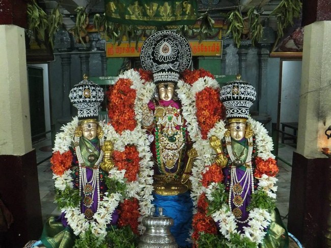 Aminjikarai Sri Prasanna Varadaraja Perumal Temple Oonjal Utsavam 14