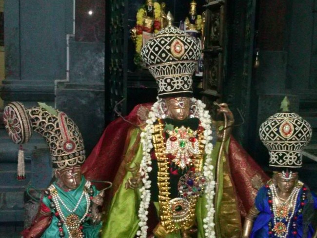 Aminjikarai Sri Prasanna Varadaraja Perumal Temple Oonjal Utsavam 16