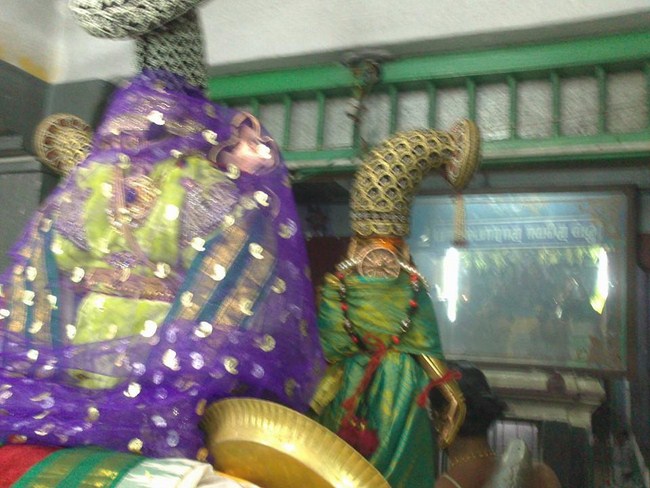Aminjikarai Sri Prasanna Varadaraja Perumal Temple Oonjal Utsavam16