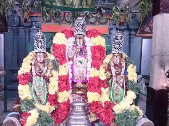 Aminjikarai Sri Prasanna Varadaraja Perumal Temple Oonjal Utsavam17