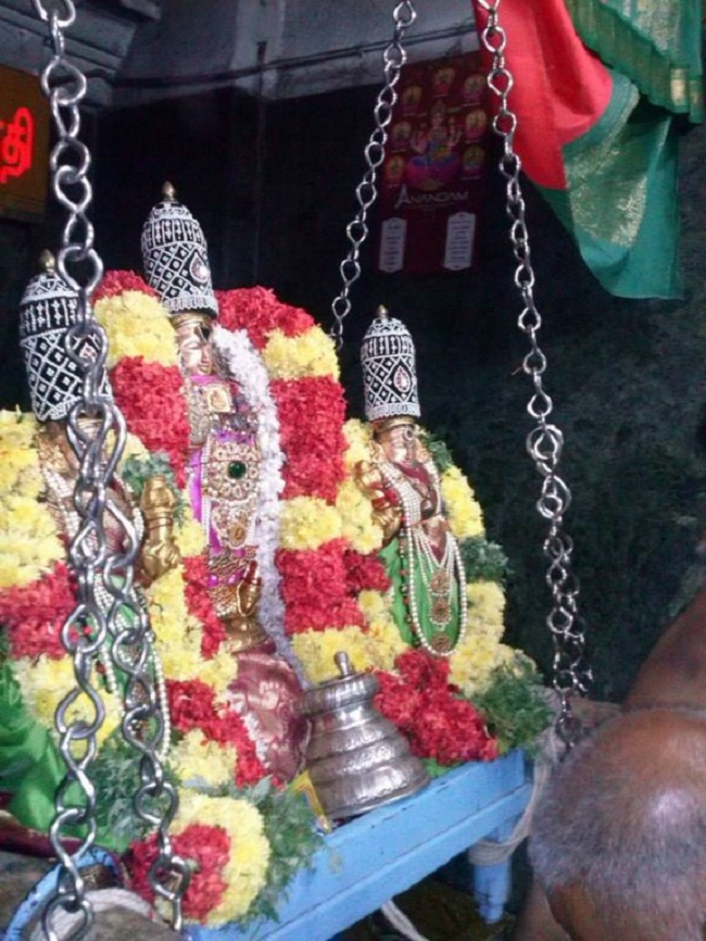 Aminjikarai Sri Prasanna Varadaraja Perumal Temple Oonjal Utsavam18