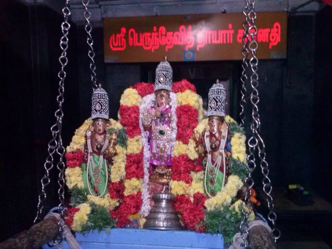 Aminjikarai Sri Prasanna Varadaraja Perumal Temple Oonjal Utsavam21