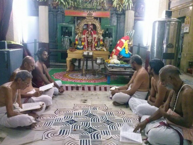 Aminjikarai Sri Prasanna Varadaraja Perumal Temple Pillai Lokachariyar Thirunakshtra Utsavam10