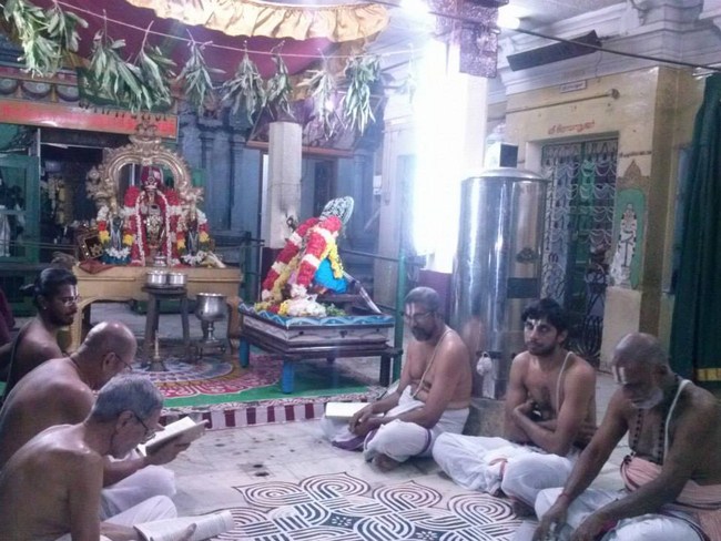 Aminjikarai Sri Prasanna Varadaraja Perumal Temple Pillai Lokachariyar Thirunakshtra Utsavam11