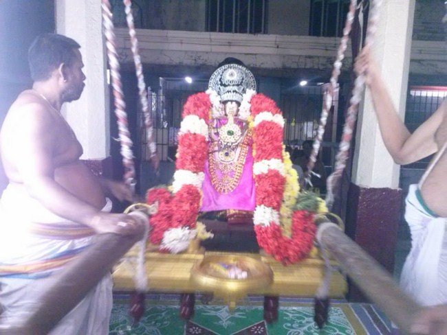 Aminjikarai Sri Prasanna Varadaraja Perumal Temple Pillai Lokachariyar Thirunakshtra Utsavam13