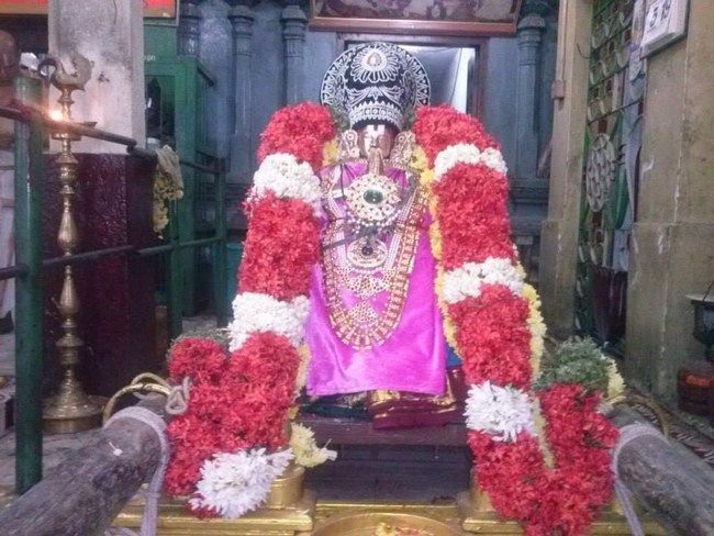 Aminjikarai Sri Prasanna Varadaraja Perumal Temple Pillai Lokachariyar Thirunakshtra Utsavam20