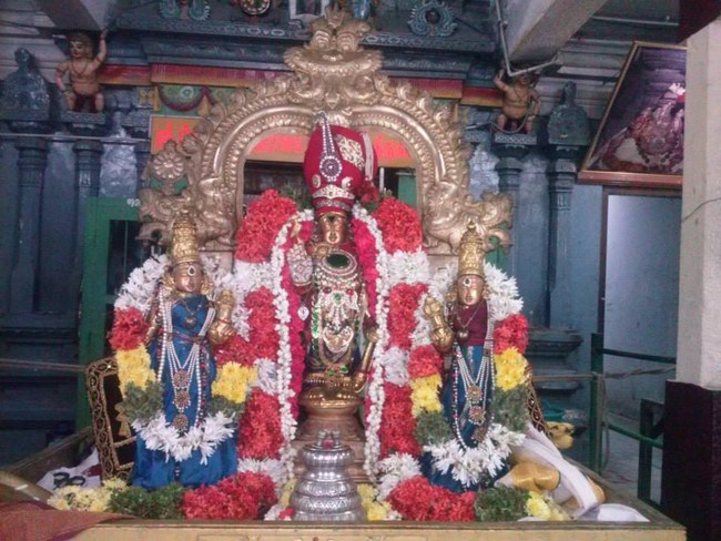 Aminjikarai Sri Prasanna Varadaraja Perumal Temple Pillai Lokachariyar Thirunakshtra Utsavam9