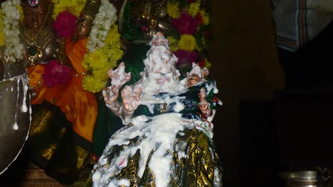 Dasavathara Sannadhi Pradhosha Thirumanjanam  2014 10