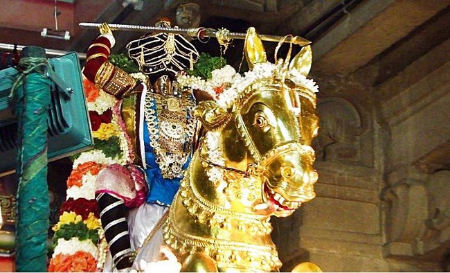 Fanaswadi Sri Balaji Temple Brahmotsavam Concludes1