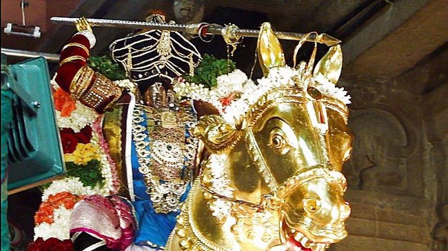 Fanaswadi Sri Balaji Temple Brahmotsavam Concludes20