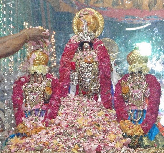 Fanaswadi Sri Balaji Temple Brahmotsavam Concludes27