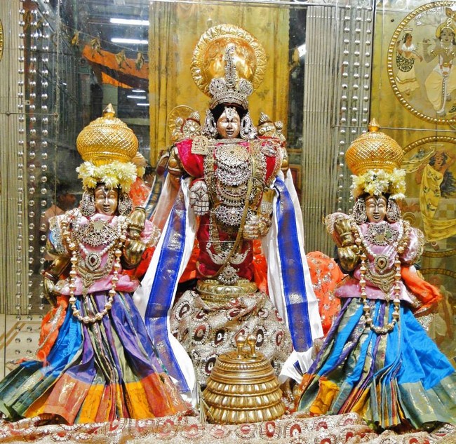 Fanaswadi Sri Balaji Temple Brahmotsavam Concludes29