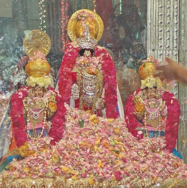 Fanaswadi Sri Balaji Temple Brahmotsavam Concludes31