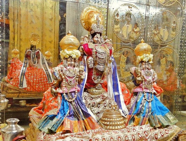 Fanaswadi Sri Balaji Temple Brahmotsavam Concludes6