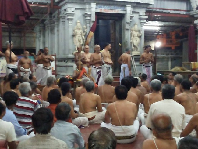 HH 46th Srimath Azhagiyasingar Pattina Pravesam At Selaiyur Sri Ahobila Mutt 43