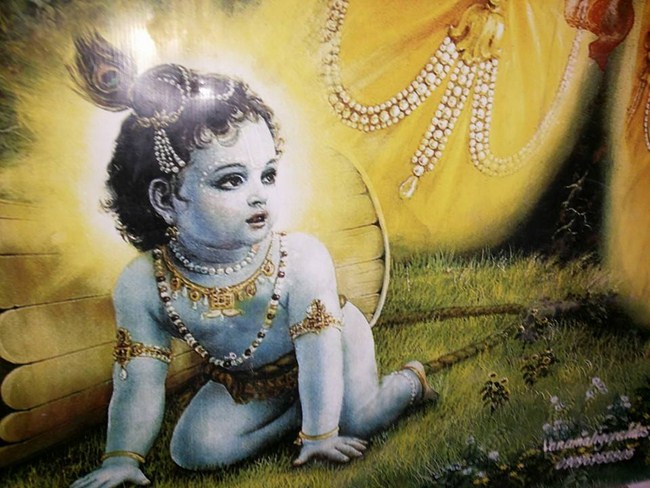 HH 46th Srimath Azhagiyasingar Vijaya Yathirai to Gokulam (Thiruvaipaadi)16