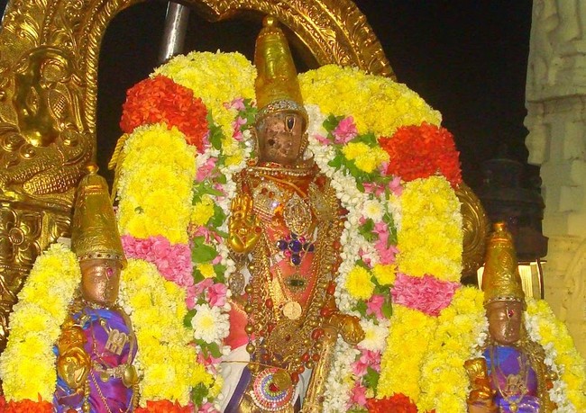 Kanchi Sri Devaperumal Aippasi Sravana Purappadu   2014 08