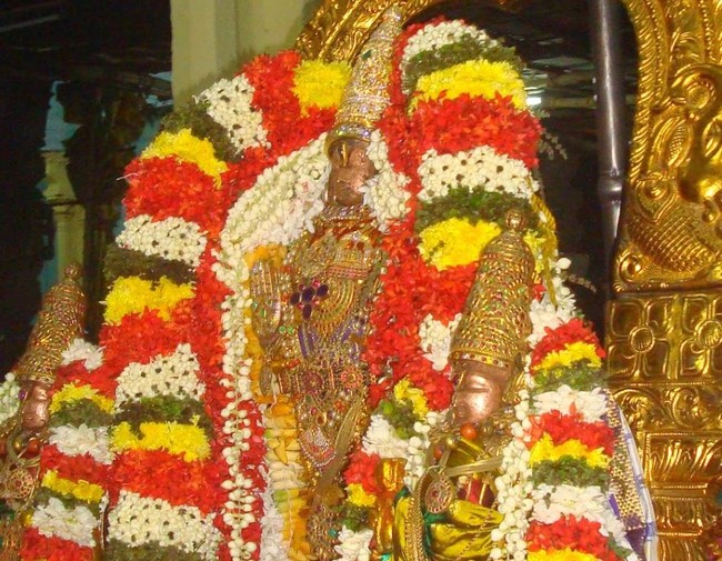 Kanchi Sri Devaperumal Jaya Karthikai Hastha Purappadu-201406