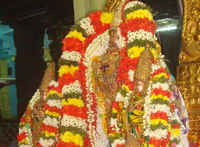 Kanchi Sri Devaperumal Jaya Karthikai Hastha Purappadu-201407