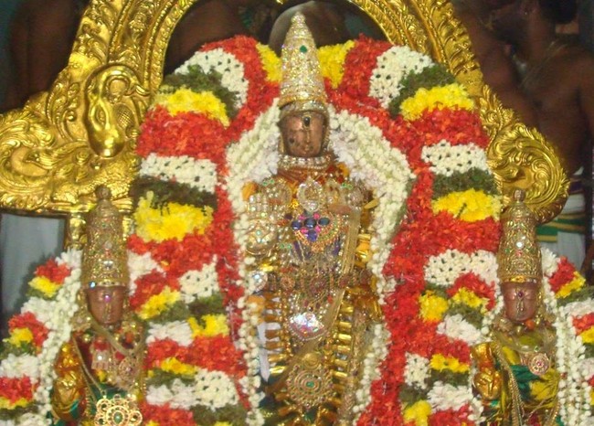 Kanchi Sri Devaperumal Jaya Karthikai Hastha Purappadu-201413